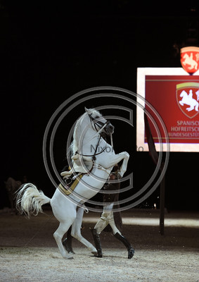 Spanish Riding School;  10 11 2016