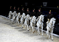 Spanish Riding School;  10 11 2016