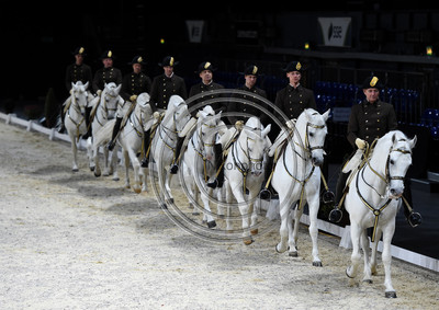 Spanish Riding School;  10 11 2016