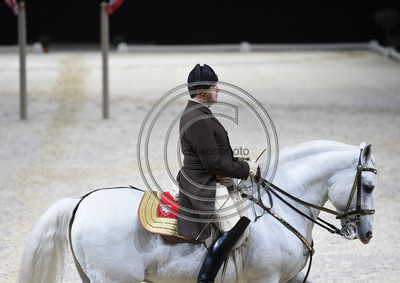 Spanish Riding School;  10 11 2016