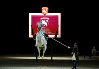 Spanish Riding School;  10 11 2016