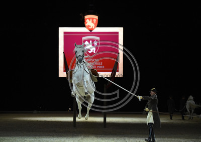 Spanish Riding School;  10 11 2016
