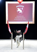 Spanish Riding School;  10 11 2016