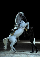 Spanish Riding School;  10 11 2016