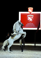 Spanish Riding School;  10 11 2016