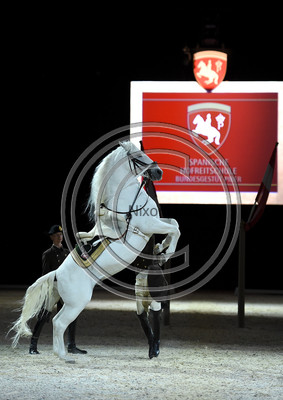 Spanish Riding School;  10 11 2016
