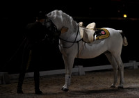 Spanish Riding School;  10 11 2016