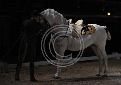 Spanish Riding School;  10 11 2016