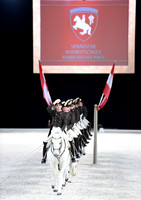 Spanish Riding School;  10 11 2016