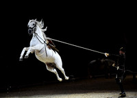 Spanish Riding School;  10 11 2016