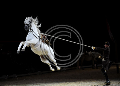 Spanish Riding School;  10 11 2016