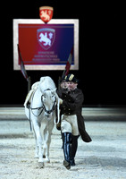 Spanish Riding School;  10 11 2016