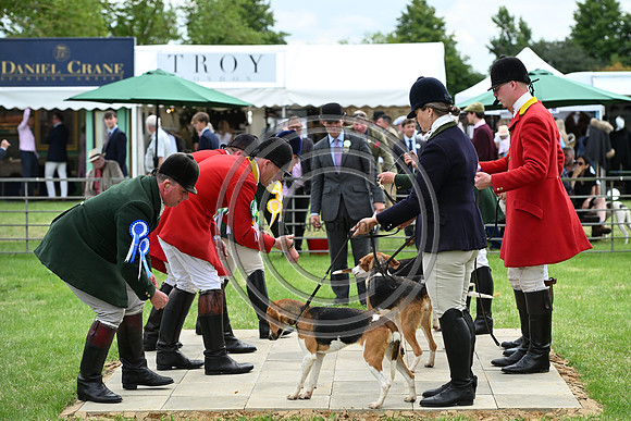 Festival of Hounds 2024