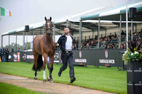 Horse Inspection