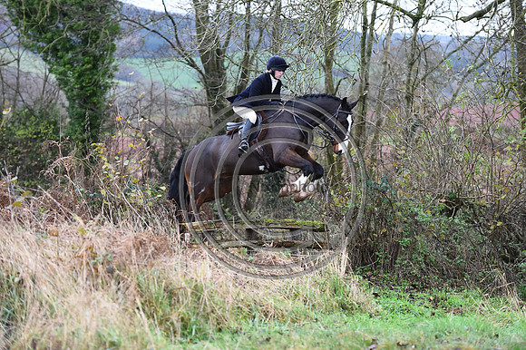 Ludlow_Hunting_17