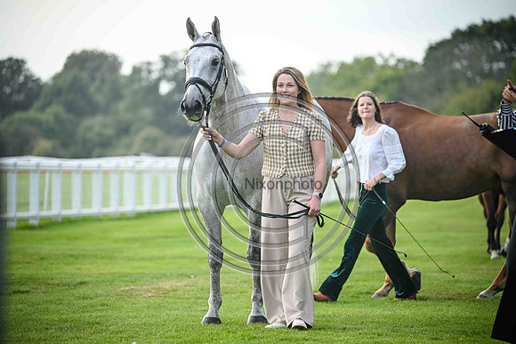 Scone Palace International Horse Trials