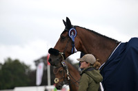 CCI3*_L_PG