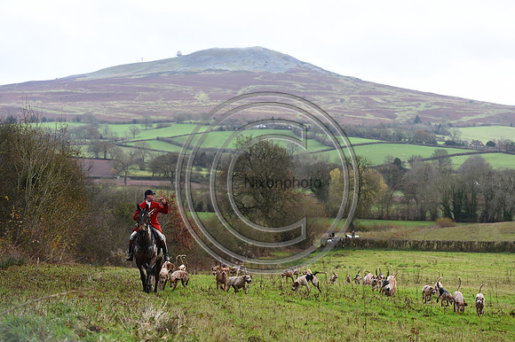 Ludlow_Hunting_48