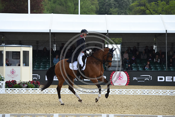 Gareth Hughes_Classic Briolinca_RWHS_PN23_71428