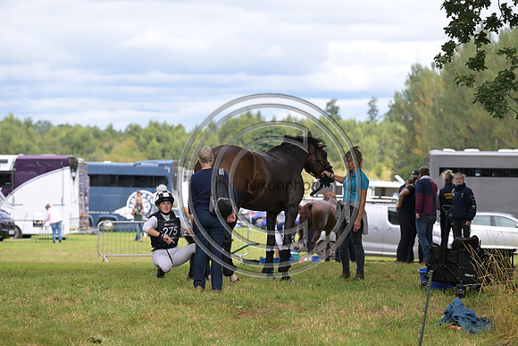 Scone Palace International Horse Trials