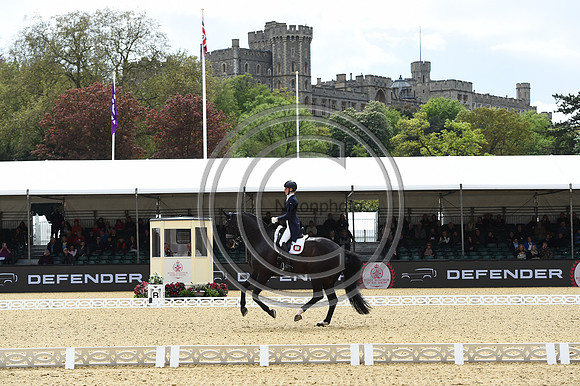 Kathleen Kröncke_San Royal 3_RWHS_PN23_71512