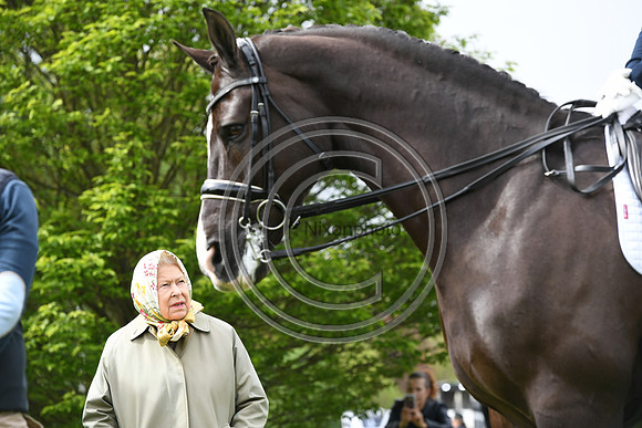 Valegro_RWHS_PN19_13011