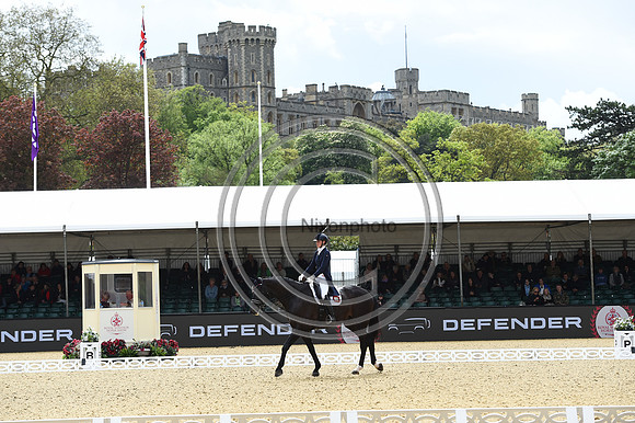 Kathleen Kröncke_San Royal 3_RWHS_PN23_71517