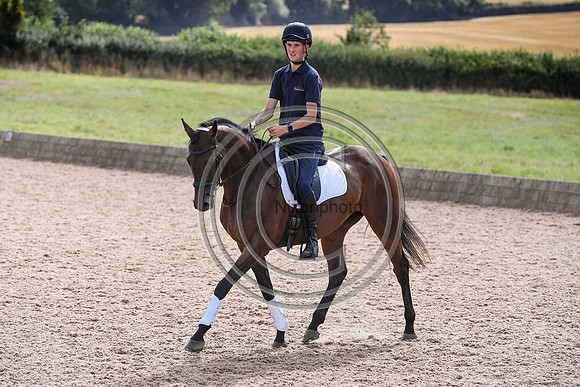 Collective Equestrian
