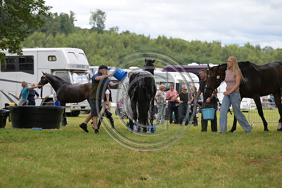 Scone Palace International Horse Trials