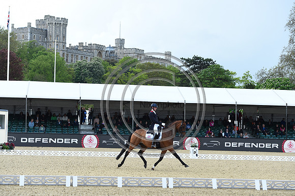 Lewis Carrier_Diego V_RWHS_PN23_71470