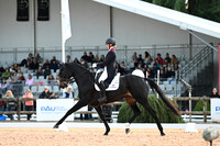 Dressage_02
