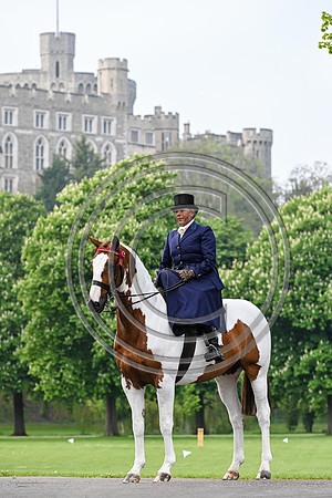 PhotoCall_RWHS_PN24_130812