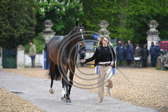 Alice Casburn _Topspin_BadHT_PN23_71454