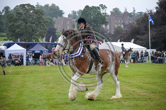 Scone Palace International Horse Trials