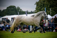 Scone Palace International Horse Trials