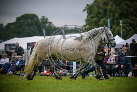 Scone Palace International Horse Trials