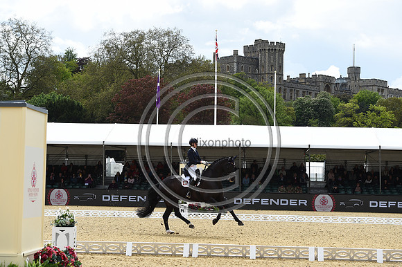 Kathleen Kröncke_San Royal 3_RWHS_PN23_71524