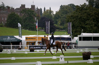 Dressage