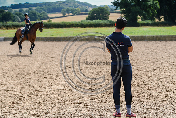 Collective Equestrian