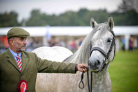 Scone Palace International Horse Trials
