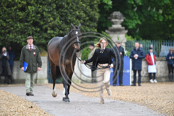 Alice Casburn _Topspin_BadHT_PN23_71453