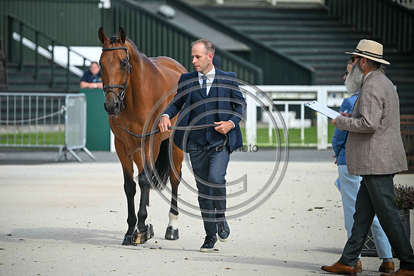 Scone Palace International Horse Trials