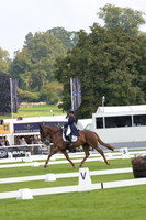 Dressage