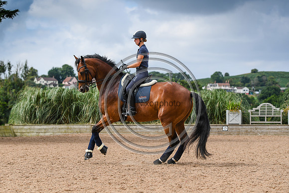 Collective Equestrian