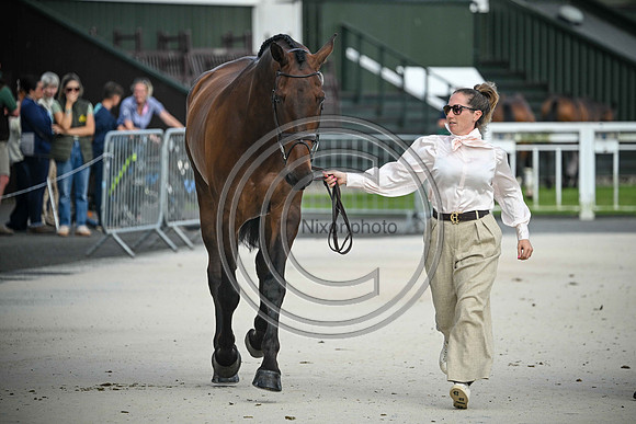 Scone Palace International Horse Trials
