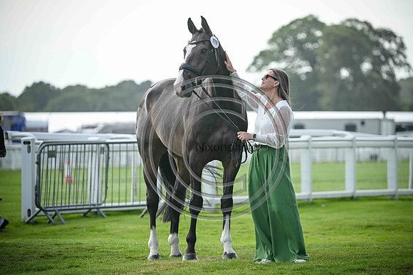 Scone Palace International Horse Trials