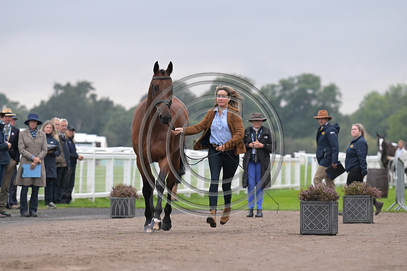 Scone Palace International Horse Trials