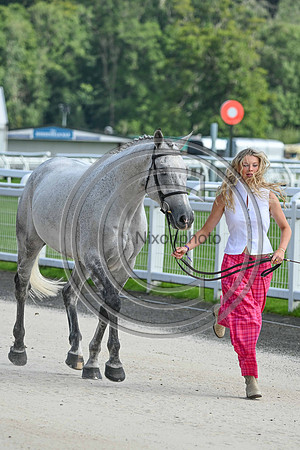 Scone Palace International Horse Trials