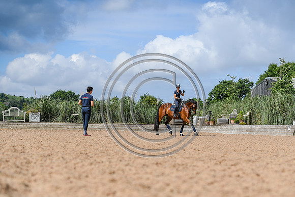 Collective Equestrian