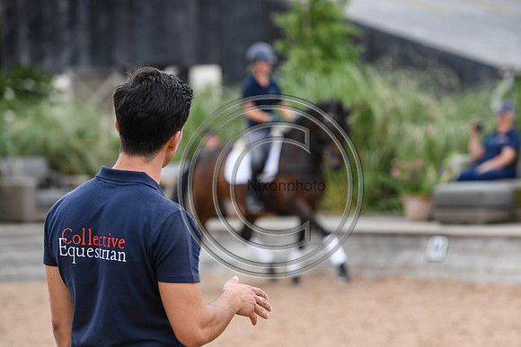 Collective Equestrian